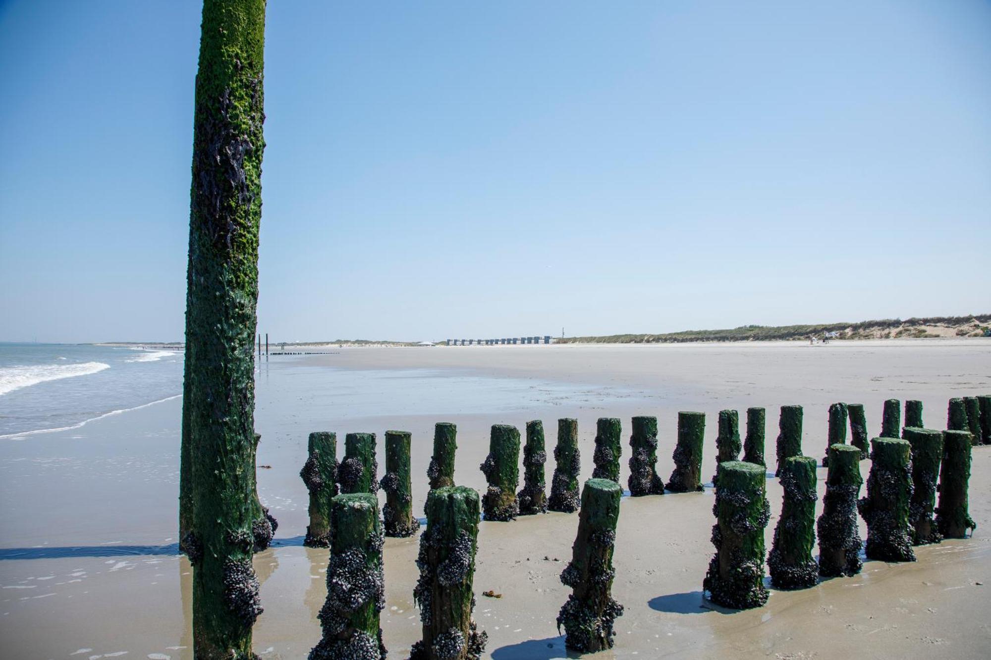 Zonneweelde, Vakantie Aan Zee Nieuwvliet Exteriör bild